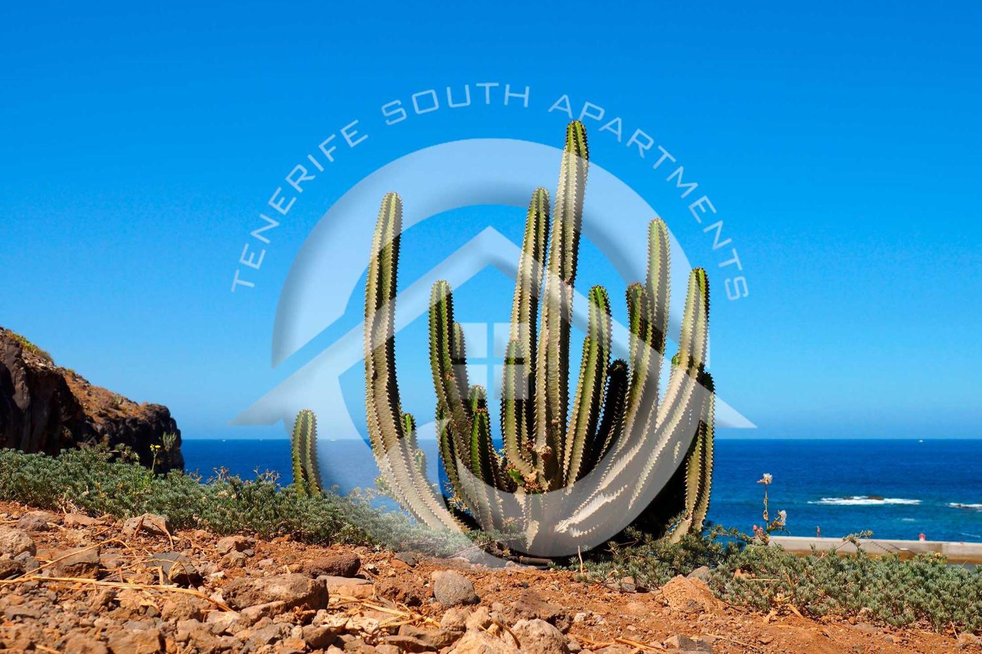 My Sea View Apartment Costa Adeje  Exterior photo